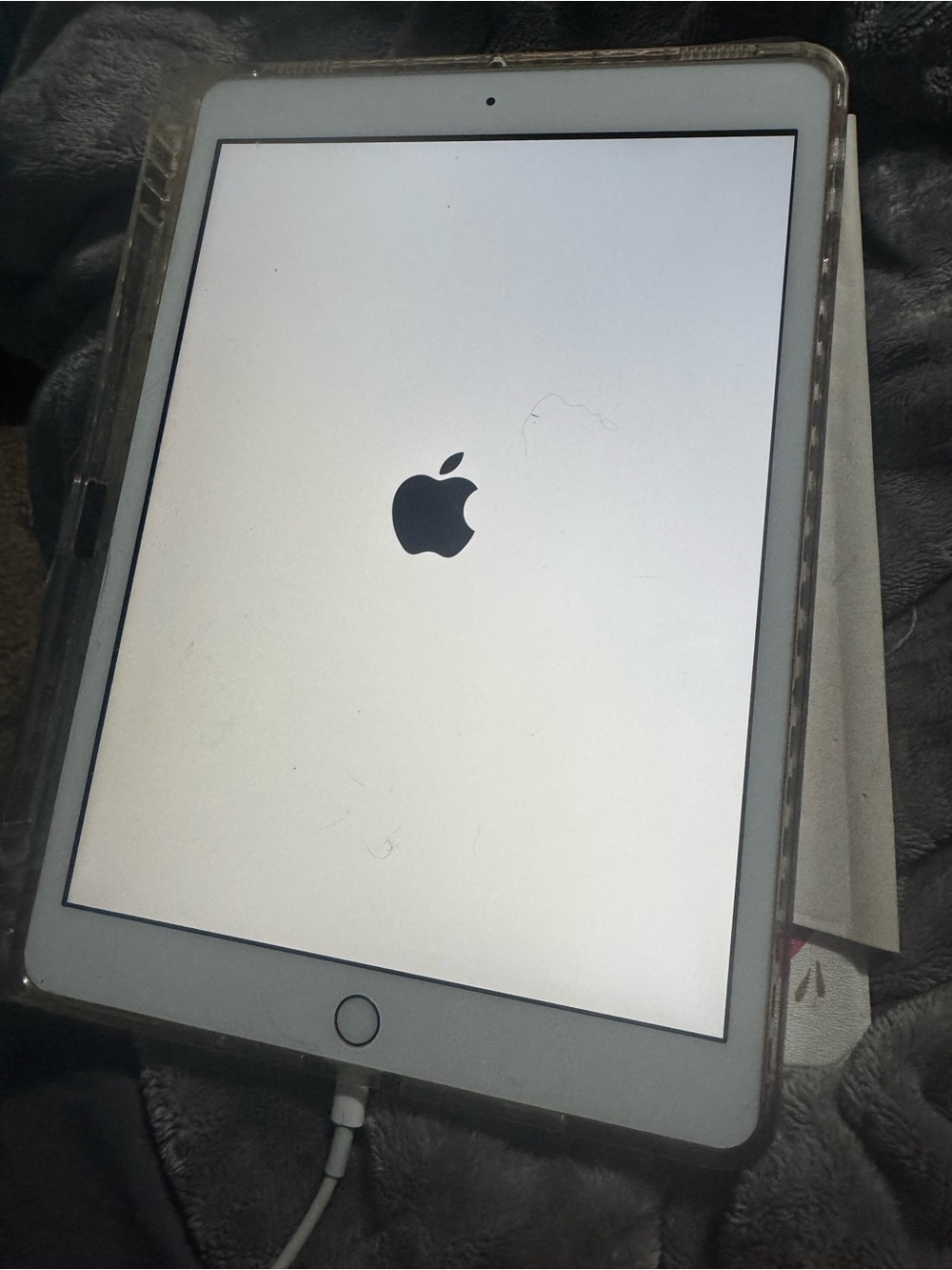 Apple iPad 7th Gen Tablet in White with Rose Gold Back